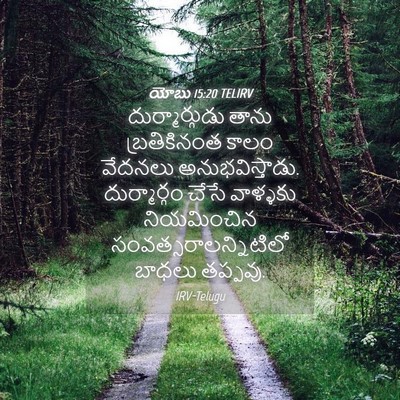 Picture 04 - యోబు 15:20 TELIRV - దుర్మార్గుడు తాను - Bible Verse Picture