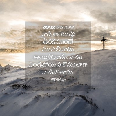 Picture 04 - యోబు 15:32 TELIRV - వాడి ఆయుష్షు - Bible Verse Picture