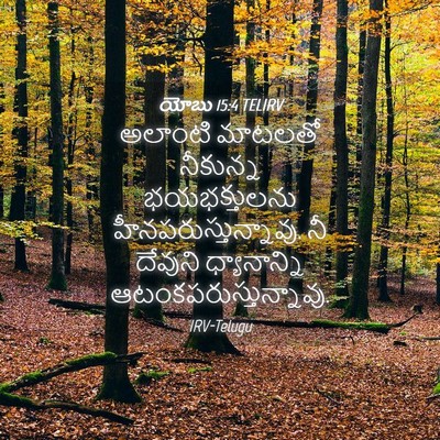 Picture 04 - యోబు 15:4 TELIRV - అలాంటి మాటలతో - Bible Verse Picture