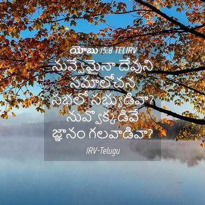 Picture 04 - యోబు 15:8 TELIRV - నువ్వేమైనా దేవుని - Bible Verse Picture