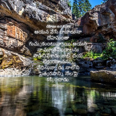 Picture 04 - యోబు 16:13 TELIRV - ఆయన వేసే బాణాలు నా - Bible Verse Picture