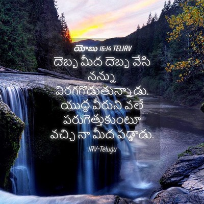 Picture 04 - యోబు 16:14 TELIRV - దెబ్బ మీద దెబ్బ - Bible Verse Picture