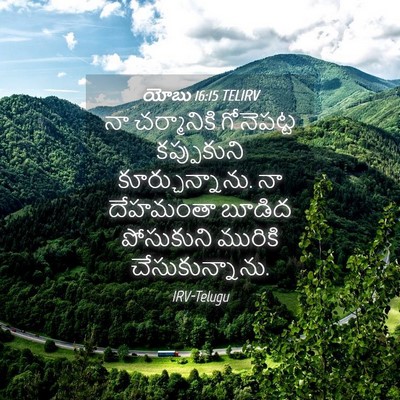 Picture 04 - యోబు 16:15 TELIRV - నా చర్మానికి - Bible Verse Picture