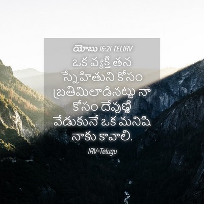 Picture 04 - యోబు 16:21 TELIRV - ఒక వ్యక్తి తన - Bible Verse Picture