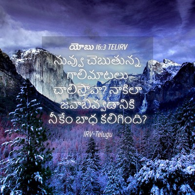 Picture 04 - యోబు 16:3 TELIRV - నువ్వు చెబుతున్న - Bible Verse Picture