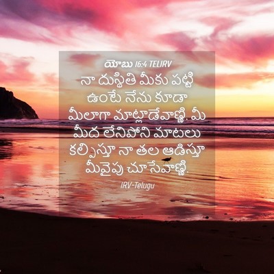 Picture 04 - యోబు 16:4 TELIRV - నా దుస్థితి మీకు - Bible Verse Picture