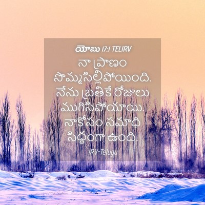 Picture 04 - యోబు 17:1 TELIRV - నా ప్రాణం - Bible Verse Picture