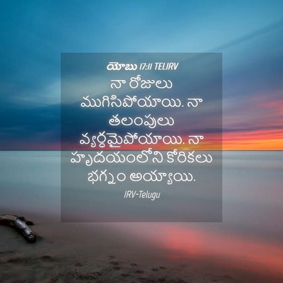 Picture 04 - యోబు 17:11 TELIRV - నా రోజులు - Bible Verse Picture
