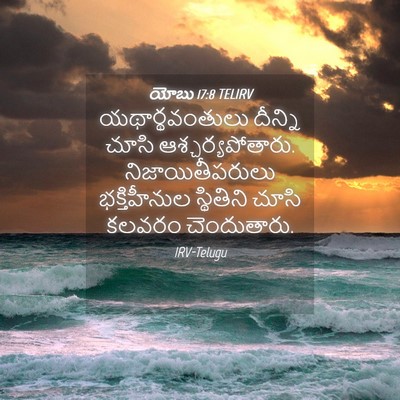 Picture 04 - యోబు 17:8 TELIRV - యథార్థవంతులు - Bible Verse Picture