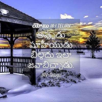 Picture 04 - యోబు 18:1 TELIRV - అప్పుడు షూహీయుడు - Bible Verse Picture