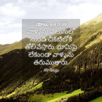 Picture 04 - యోబు 18:18 TELIRV - వాళ్ళను వెలుగులో - Bible Verse Picture