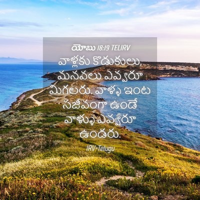 Picture 04 - యోబు 18:19 TELIRV - వాళ్లకు కొడుకులు, - Bible Verse Picture