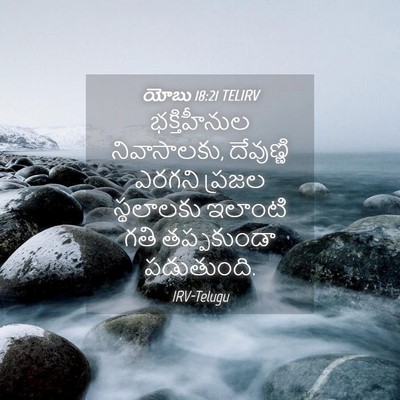 Picture 04 - యోబు 18:21 TELIRV - భక్తిహీనుల - Bible Verse Picture