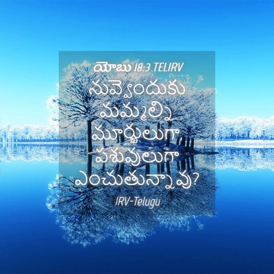 Picture 04 - యోబు 18:3 TELIRV - నువ్వెందుకు - Bible Verse Picture