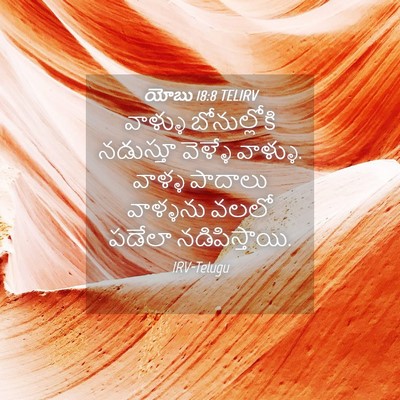 Picture 04 - యోబు 18:8 TELIRV - వాళ్ళు బోనుల్లోకి - Bible Verse Picture