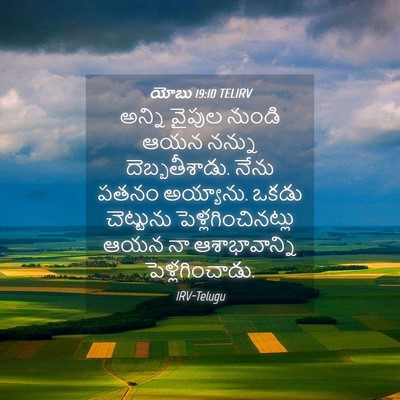 Picture 04 - యోబు 19:10 TELIRV - అన్ని వైపుల నుండి - Bible Verse Picture