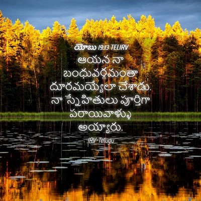 Picture 04 - యోబు 19:13 TELIRV - ఆయన నా - Bible Verse Picture