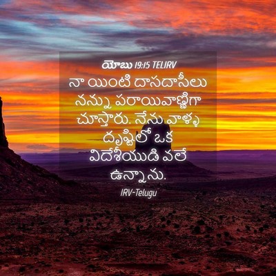 Picture 04 - యోబు 19:15 TELIRV - నా యింటి - Bible Verse Picture