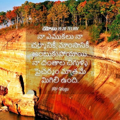 Picture 04 - యోబు 19:20 TELIRV - నా ఎముకలు నా - Bible Verse Picture