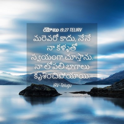 Picture 04 - యోబు 19:27 TELIRV - మరెవరో కాదు, నేనే - Bible Verse Picture