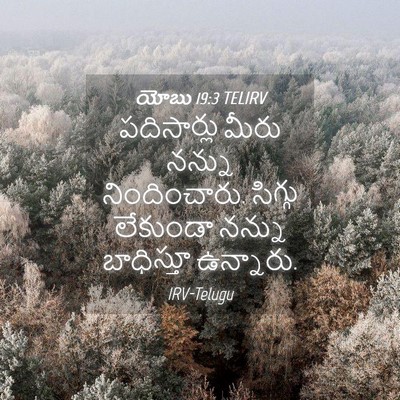 Picture 04 - యోబు 19:3 TELIRV - పదిసార్లు మీరు - Bible Verse Picture
