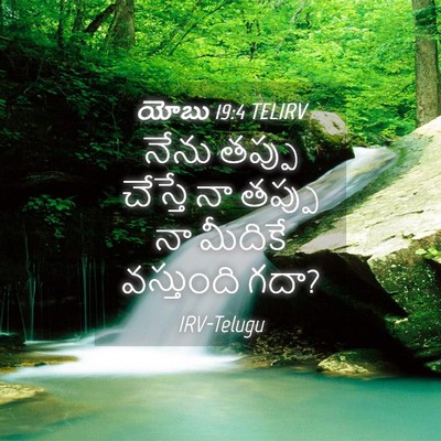 Picture 04 - యోబు 19:4 TELIRV - నేను తప్పు చేస్తే - Bible Verse Picture