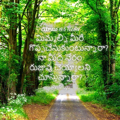 Picture 04 - యోబు 19:5 TELIRV - మిమ్మల్ని మీరే - Bible Verse Picture
