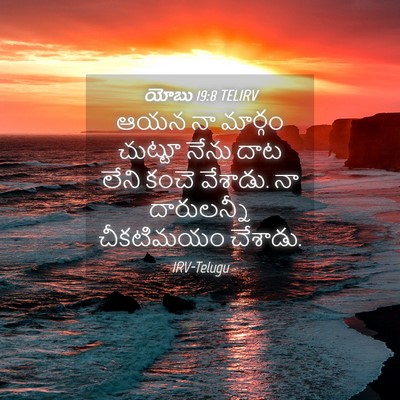 Picture 04 - యోబు 19:8 TELIRV - ఆయన నా మార్గం - Bible Verse Picture