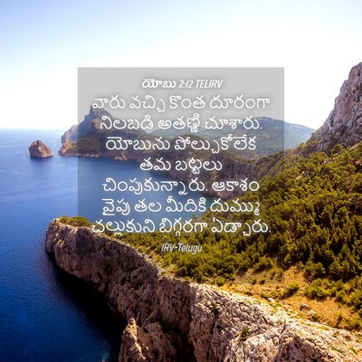 Picture 04 - యోబు 2:12 TELIRV - వారు వచ్చి కొంత - Bible Verse Picture
