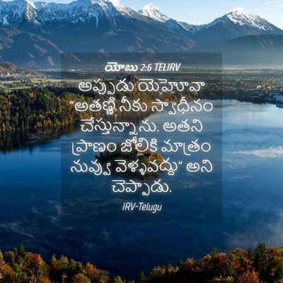 Picture 04 - యోబు 2:6 TELIRV - అప్పుడు యెహోవా - Bible Verse Picture