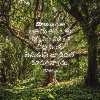 Picture 04 - యోబు 2:8 TELIRV - అతడు తన ఒళ్లు - Bible Verse Picture