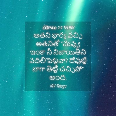 Picture 04 - యోబు 2:9 TELIRV - అతని భార్య వచ్చి - Bible Verse Picture