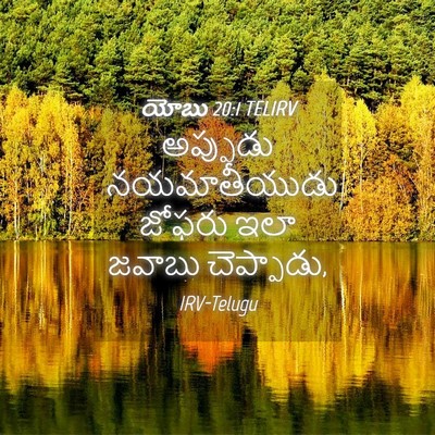 Picture 04 - యోబు 20:1 TELIRV - అప్పుడు - Bible Verse Picture