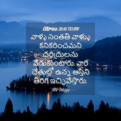 Picture 04 - యోబు 20:10 TELIRV - వాళ్ళ సంతతి - Bible Verse Picture