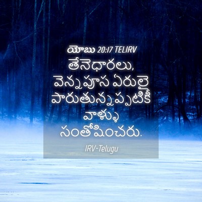 Picture 04 - యోబు 20:17 TELIRV - తేనెధారలు, - Bible Verse Picture