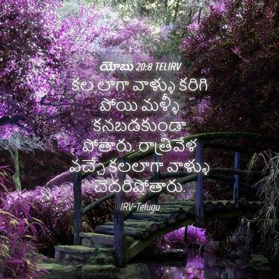 Picture 04 - యోబు 20:8 TELIRV - కల లాగా వాళ్ళు - Bible Verse Picture