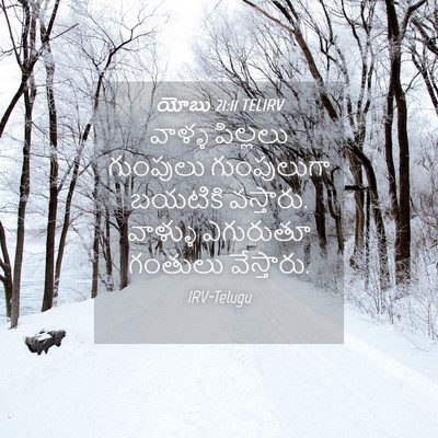 Picture 04 - యోబు 21:11 TELIRV - వాళ్ళ పిల్లలు - Bible Verse Picture