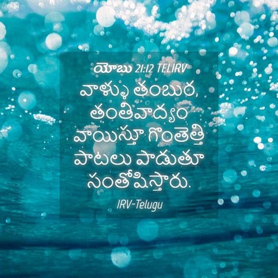 Picture 04 - యోబు 21:12 TELIRV - వాళ్ళు తంబుర, - Bible Verse Picture