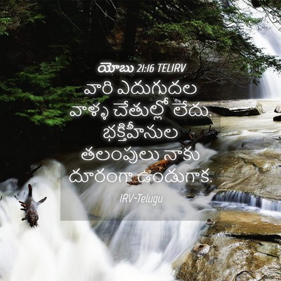 Picture 04 - యోబు 21:16 TELIRV - వారి ఎదుగుదల - Bible Verse Picture