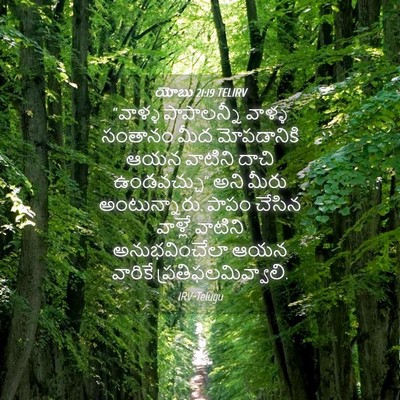 Picture 04 - యోబు 21:19 TELIRV - “వాళ్ళ పాపాలన్నీ - Bible Verse Picture