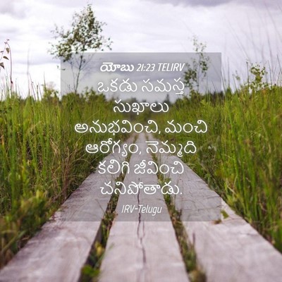 Picture 04 - యోబు 21:23 TELIRV - ఒకడు సమస్త సుఖాలు - Bible Verse Picture