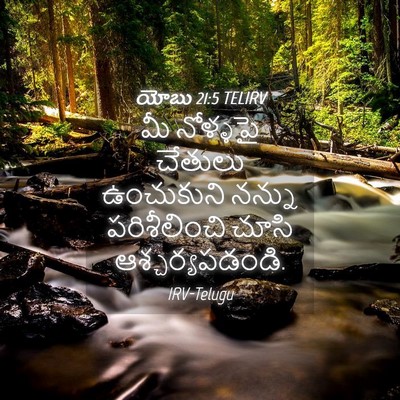 Picture 04 - యోబు 21:5 TELIRV - మీ నోళ్ళపై చేతులు - Bible Verse Picture
