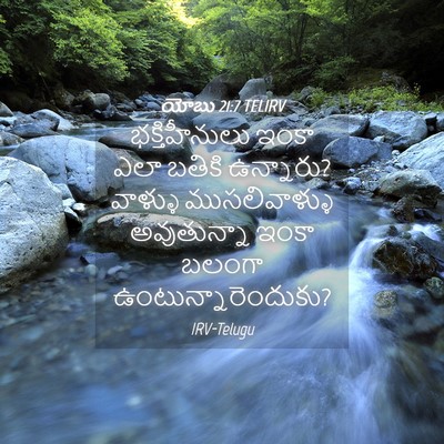 Picture 04 - యోబు 21:7 TELIRV - భక్తిహీనులు ఇంకా - Bible Verse Picture