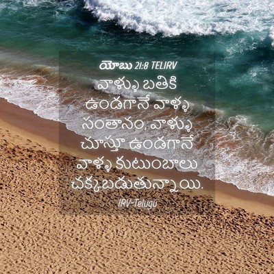 Picture 04 - యోబు 21:8 TELIRV - వాళ్ళు బతికి - Bible Verse Picture
