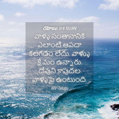 Picture 04 - యోబు 21:9 TELIRV - వాళ్ళ సంతానానికి - Bible Verse Picture