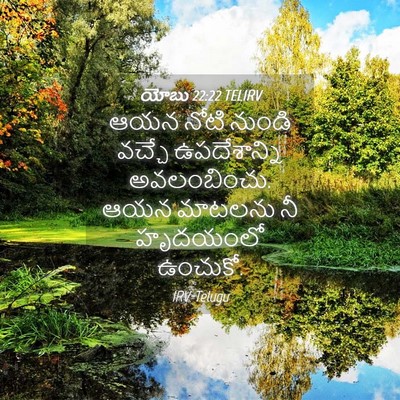 Picture 04 - యోబు 22:22 TELIRV - ఆయన నోటి నుండి - Bible Verse Picture