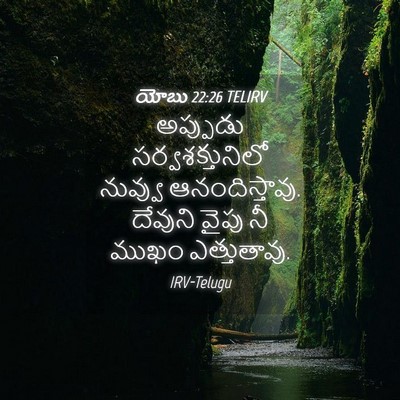 Picture 04 - యోబు 22:26 TELIRV - అప్పుడు - Bible Verse Picture