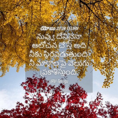 Picture 04 - యోబు 22:28 TELIRV - నువ్వు దేనినైనా - Bible Verse Picture
