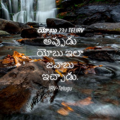 Picture 04 - యోబు 23:1 TELIRV - అప్పుడు యోబు ఇలా - Bible Verse Picture