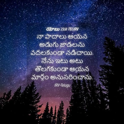 Picture 04 - యోబు 23:11 TELIRV - నా పాదాలు ఆయన - Bible Verse Picture